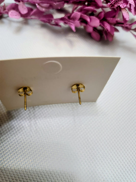 Triomphe Stainless Steel Gold Plated Stud Earrings